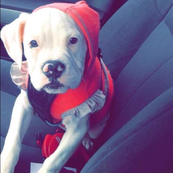 Meet your Posher, Ms - Picture 1 of 1